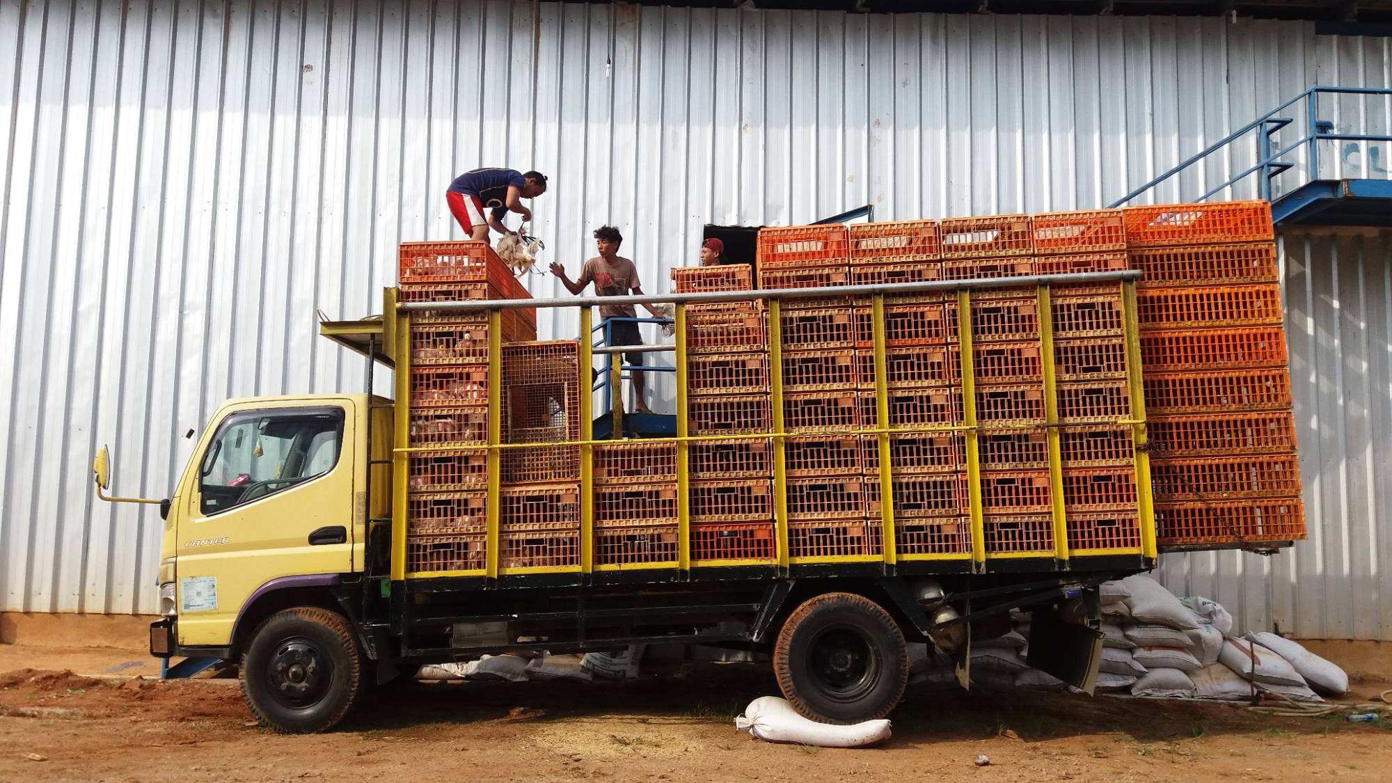 Truk bermuatan keranjang panen